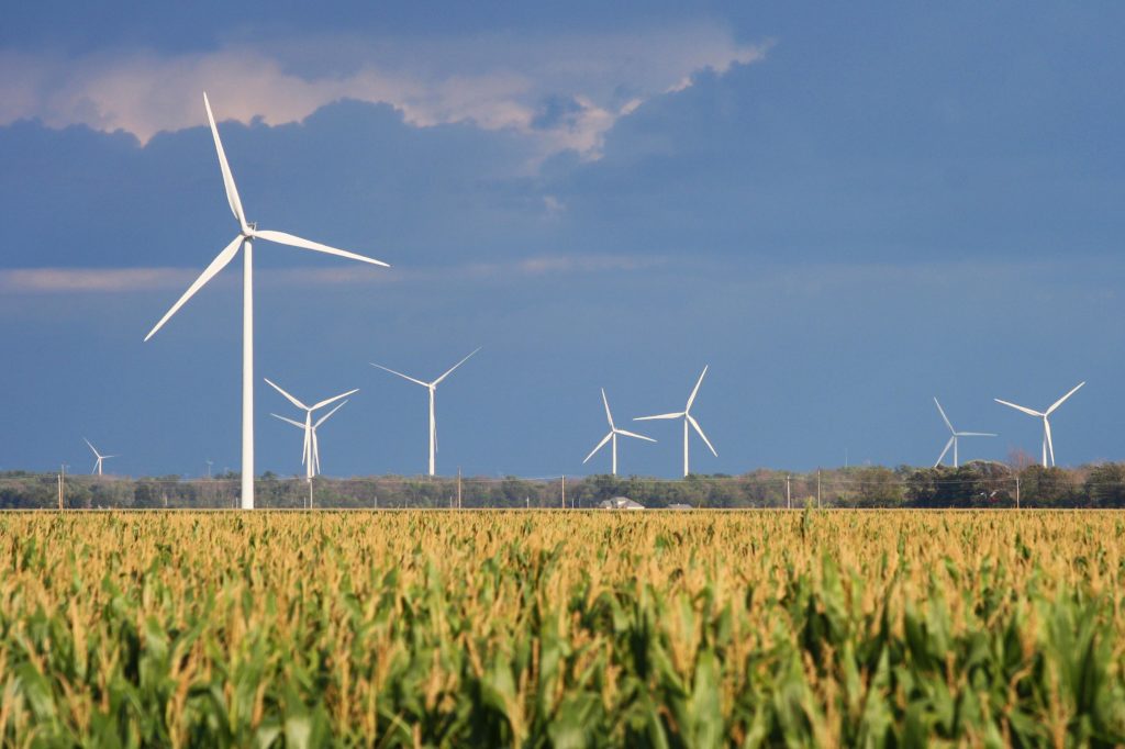 Energías renovables: el informe de IRENA destaca que la energía eólica está en torno a los 4 centavos de dólar por kWh. Foto: clconroy.