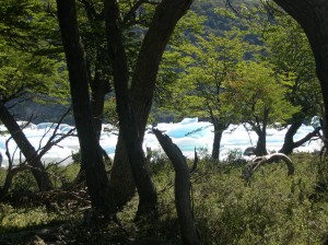 Onelli_aintzira (2)