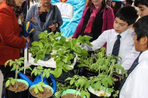Educación Ambiental