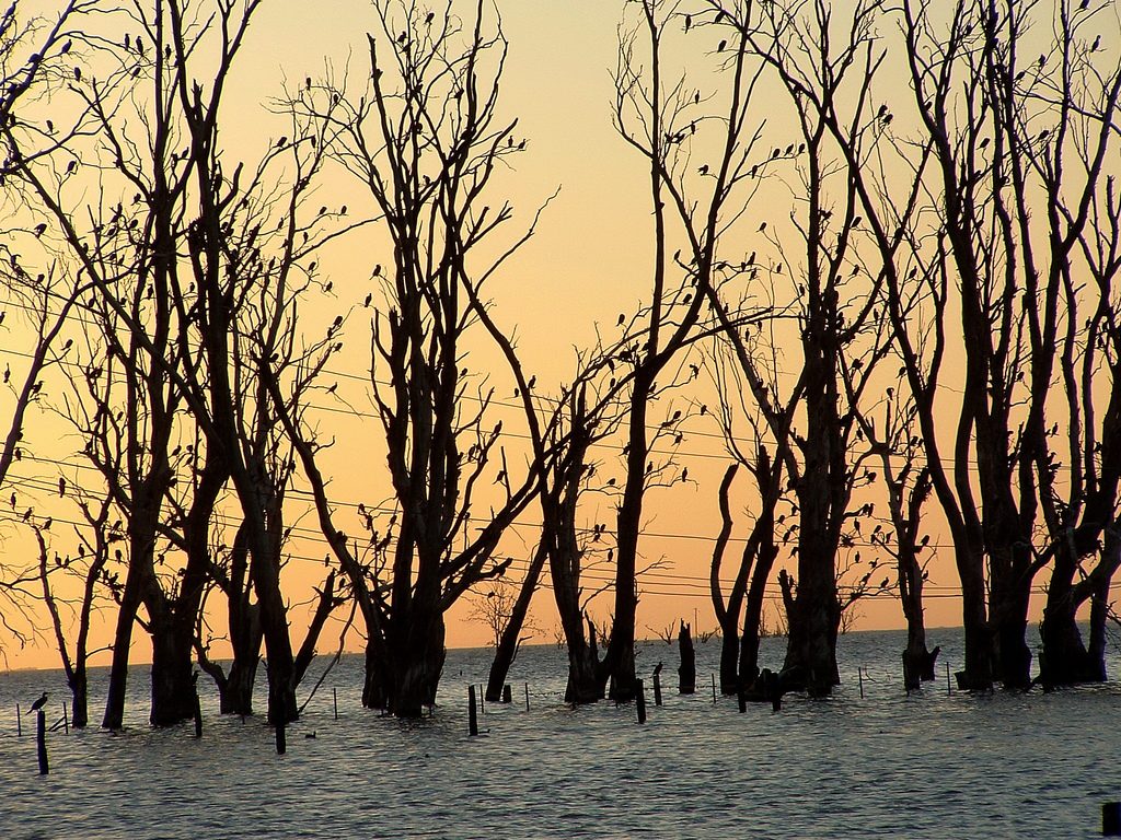 Las inundaciones serán una de las consecuencias del cambio climático y el turismo se verá afectado. Foto: Luciano Campagnolo. Licencia: CC BY 2.0.