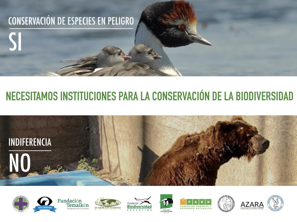 "Necesitamos Instituciones para Conservar la Biodiversidad", advirtió un grupo de ONG.
