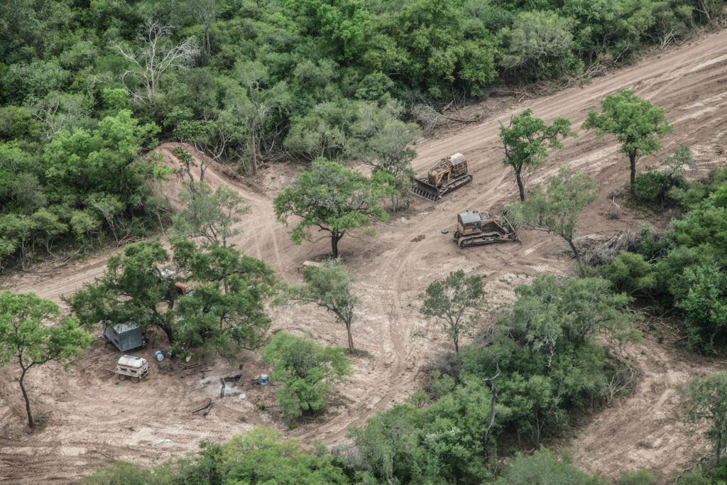 Desmontes de bosques nativos en Cuchuy, Salta. Foto: Greenpeace.