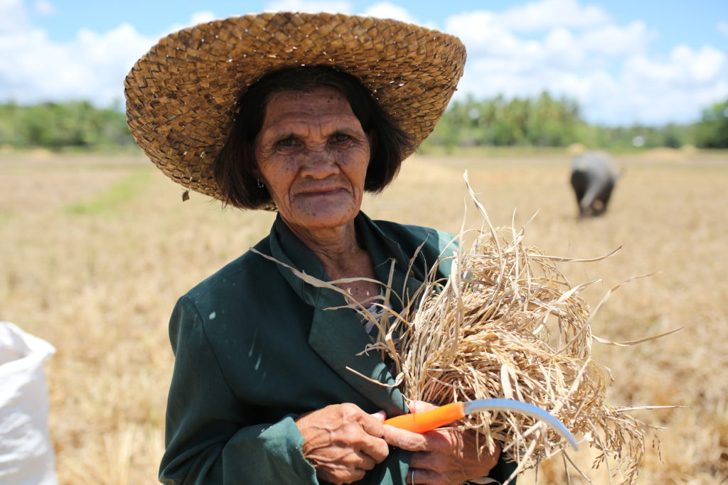 Mujeres y cambio climático: impactos y consecuencias