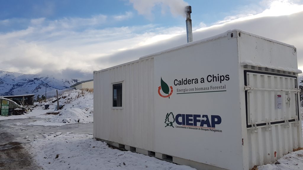 Foto: Gentileza írea de Extensión Forestal del CIEFAP (Centro de Investigación y Extensión Forestal Andino Patagónico).
