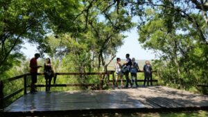 La Reserva Natural Otamendi se convirtió en el Parque Nacional Ciervo de los Pantanos.