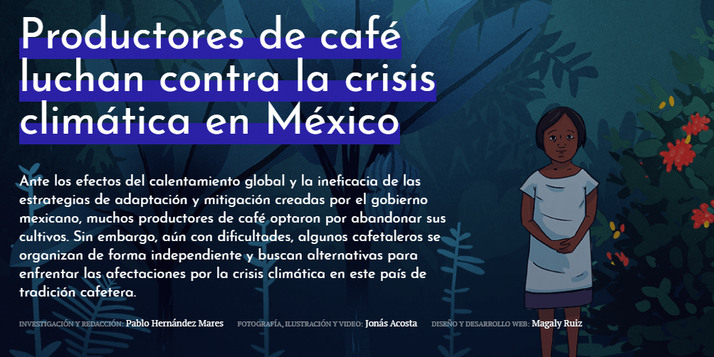Productores de café luchan contra la crisis climática en México