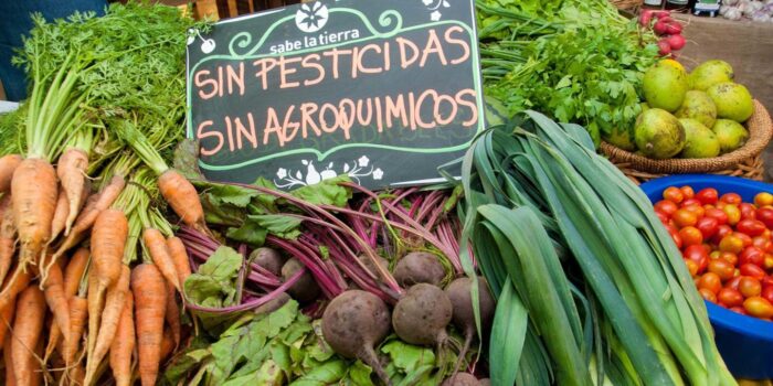 orgánicos argentina