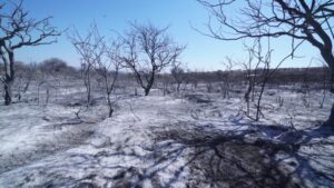 Foto de incendios en Córdoba 2020
