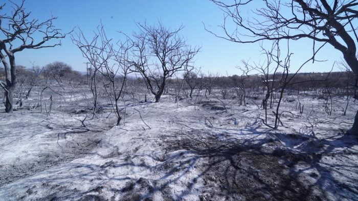 Foto de incendios en Córdoba 2020