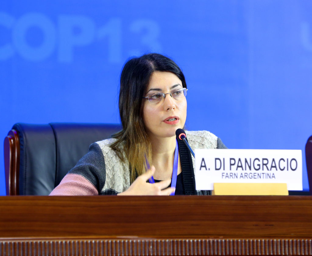 Ana di Pangrasio es directora ejecutiva adjunta de la Fundación Ambiente y Recursos Naturales (FARN).