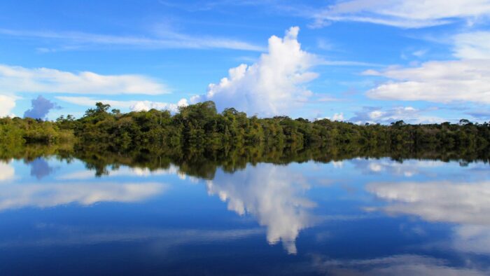 La Cuenca Amazónica tiene la más alta biodiversidad de peces del mundo, con aproximadamente 2.400 especies.