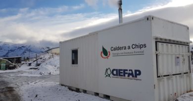 La biomasa, alternativa para cumplir con los compromisos climáticos de Argentina la «biomasa», un tipo de energía que proviene de materia prima de origen biológico como desechos forestales y/o agrícolas.