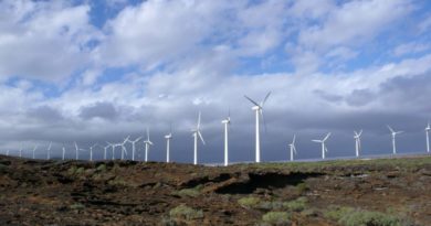 Energías renovables: jóvenes emprendedores apuestan a la transición Energías Renovables en Argentina