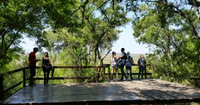 En imágenes: el nuevo Parque Nacional Ciervo de los Pantanos La Reserva Natural Otamendi se convirtió en el Parque Nacional Ciervo de los Pantanos.