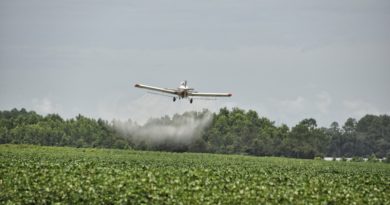 Un grupo de científicos reclama la prohibición global del glifosato Científicos pidieron la prohibición del glifosato.
