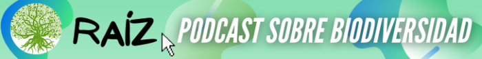 Conoce nuestro nuevo podcast