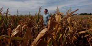 agricultura argentina